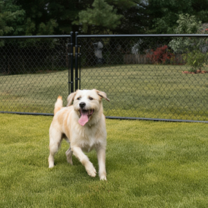 Image of chainlink fence builder and installation in dacula, georgia