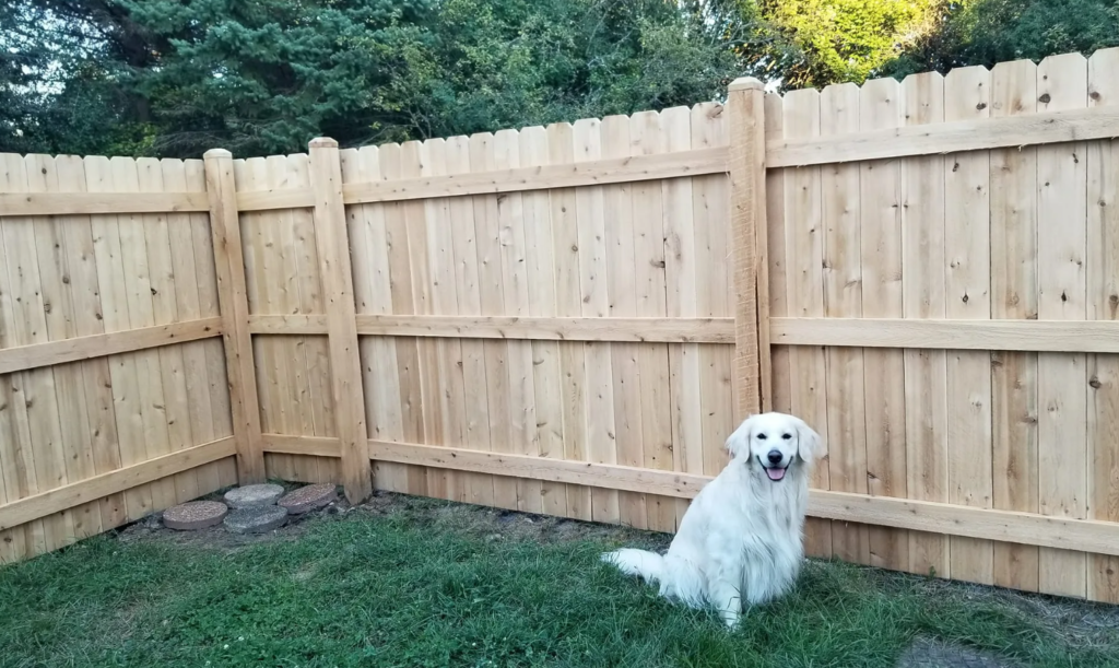 image showing dog ear style wood privacy fence in Hoschton, GA